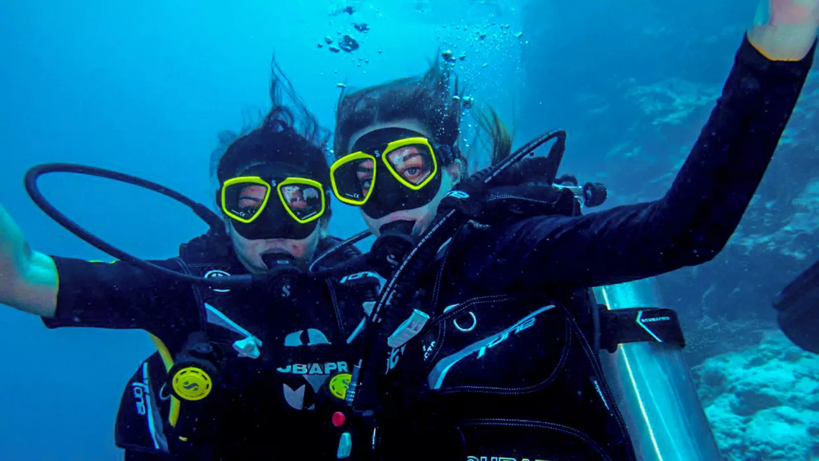 Fintastic Getaway: Dive, Relax, & Repeat Image