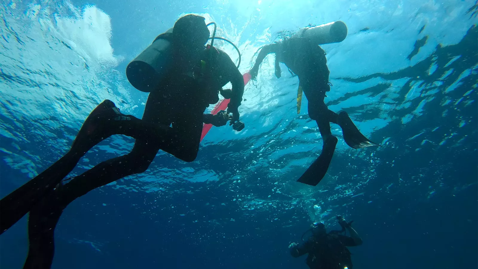 Open Water Diving Image