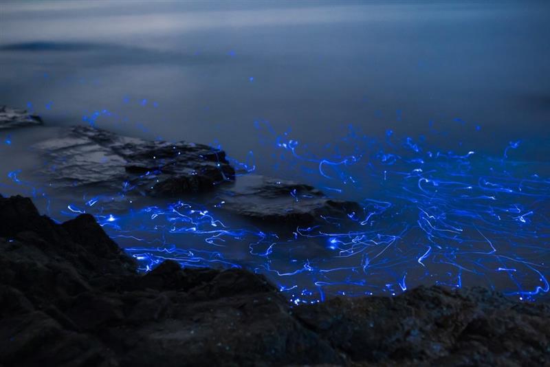 An image of the sea of stars 