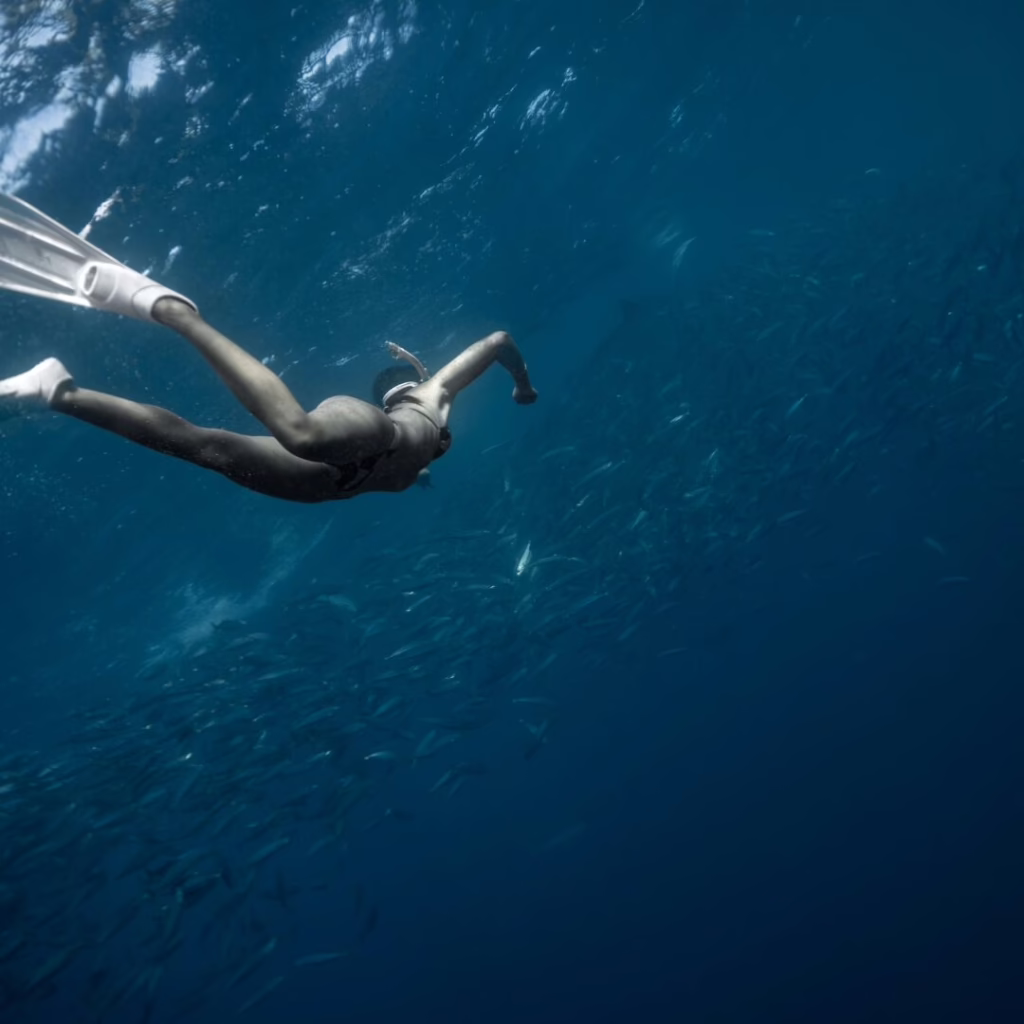 Private Snorkeling Guide