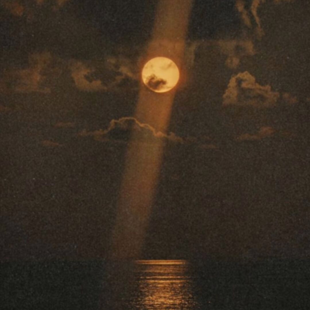 Moonlit Sunset Cruise Oaga Art Resort Maldives