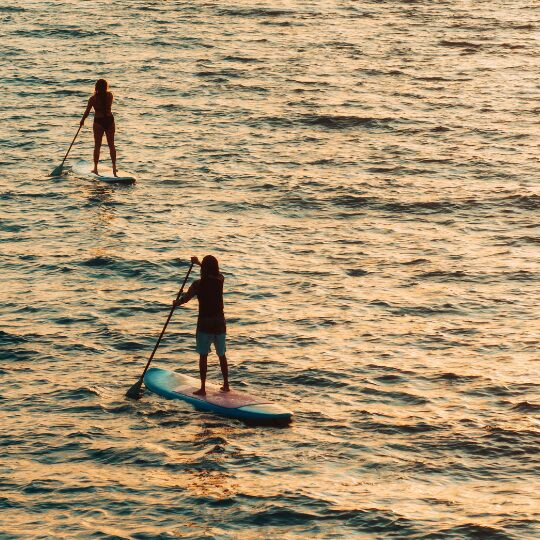 Guided Sup or Kayak in Lagoon