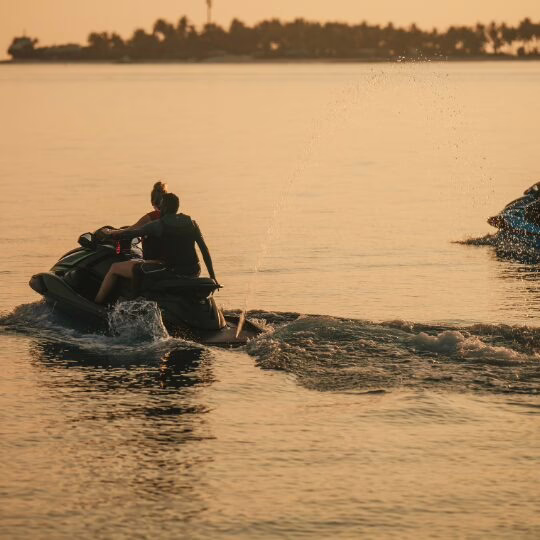 Jet Tour with Dolphin