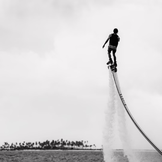 Board Sports (Pro Ride)