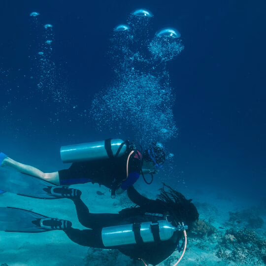 Double Dive (2 dives in one trip)