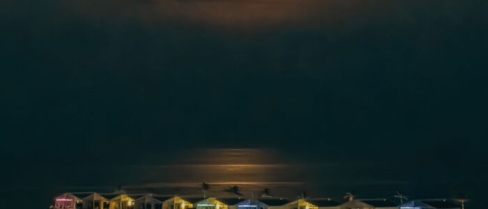 Festive Oaga Art Resort Maldives (2)